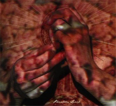 Water Liars - Phantom Limb download mp3 flac