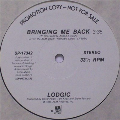 Lodgic - Bringing Me Back download mp3 flac