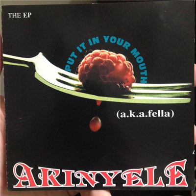 Akinyele - Put It In Your Mouth download mp3 flac