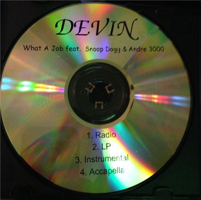 Devin The Dude, Snoop Dogg, Andre 3000 - What A Job download mp3 flac