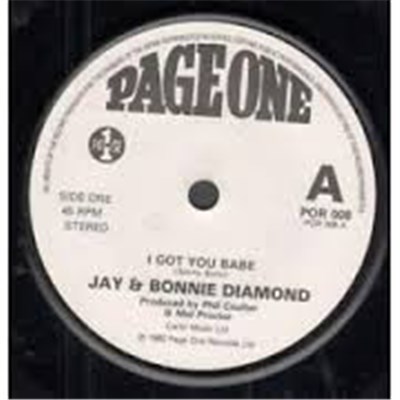 Jay & Bonnie Diamond - I GOT YOU BABE download mp3 flac