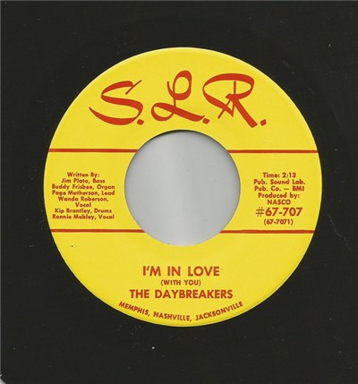 The Daybreakers - This Time These Words / I'm In Love download mp3 flac