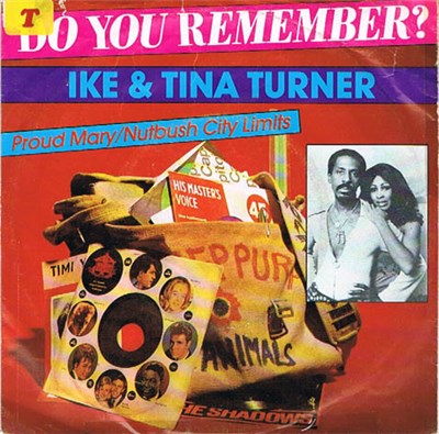 Ike & Tina Turner - Proud Mary / Nutbush City Limits download mp3 flac