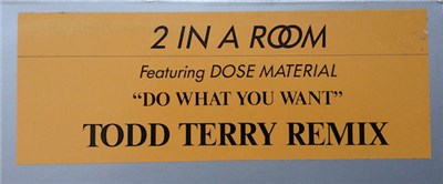 2 In A Room Featuring Dose Material - Do What You Want (Todd Terry Remix) download mp3 flac