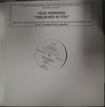 YoJo Working - I Believed In You download mp3 flac