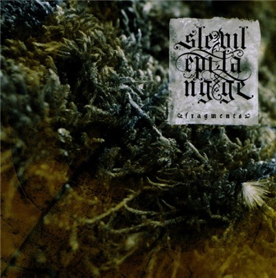 Sleeping Village - Fragments download mp3 flac
