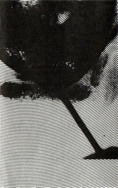 Nurse With Wound - Brained / Gyllenskold download mp3 flac