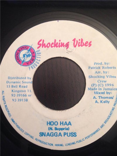 Snagga Puss - Hoo Haa download mp3 flac