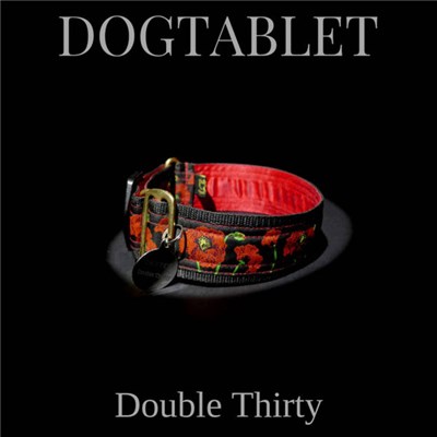 Dogtablet - Double Thirty download mp3 flac