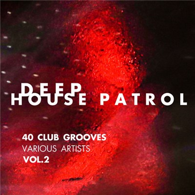 Various - Deep House Patrol Vol.2 (40 Club Grooves) download mp3 flac