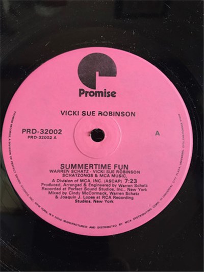 Vicki Sue Robinson - Summertime Fun / Admit It download mp3 flac