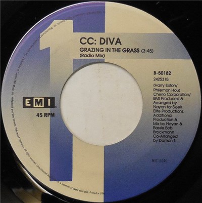 cc: DIVA - Grazing In The Grass download mp3 flac