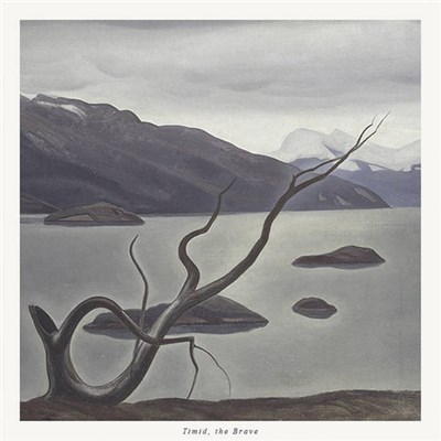 Timid, the Brave - Timid, the Brave download mp3 flac