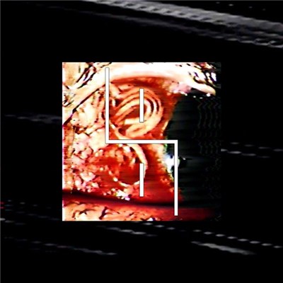 Un Regard Froid - Palinodie (Anticinéma) download mp3 flac