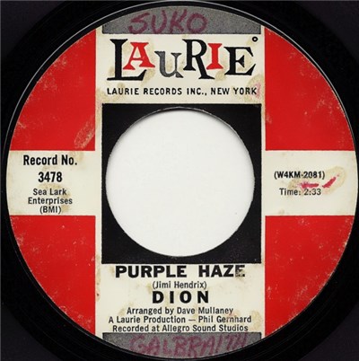 Dion - Purple Haze / The Dolphins download mp3 flac