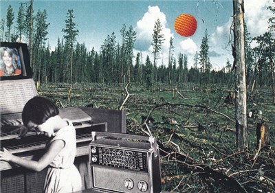 The Pictish Trail - Long In The Tooth / Of Course You Exist EP download mp3 flac