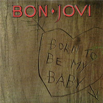 Bon Jovi - Born To Be My Baby download mp3 flac