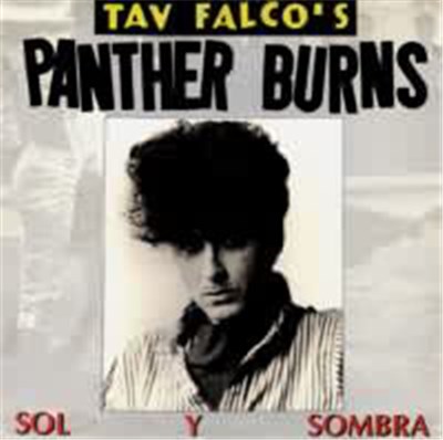Tav Falco's Panther Burns - Sol y Sombra download mp3 flac