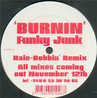 Funky Junk - Burnin download mp3 flac