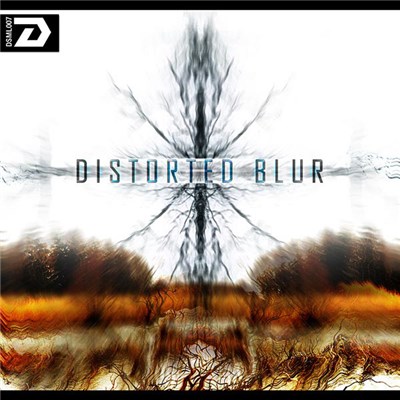 Various - Distorted Blur download mp3 flac