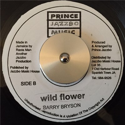 Barry Bryson - Wildflower download mp3 flac