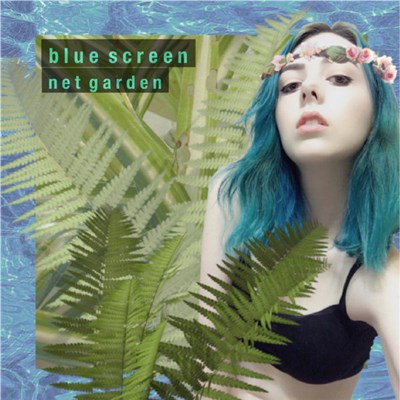 Blue Screen - Net Garden download mp3 flac