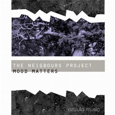 The Neighbours Project - Mood Matters download mp3 flac