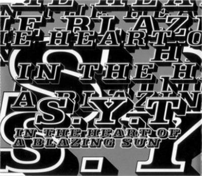 S.Y.T - In The Heart Of A Blazing Sun download mp3 flac
