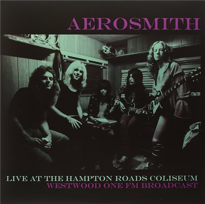 Aerosmith - Live At The Hampton Roads Coliseum download mp3 flac