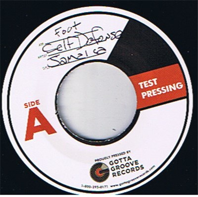 Self Defense Family - I'm Going Through Some Shit download mp3 flac
