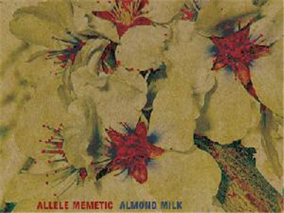Allele Memetic - Almond Milk download mp3 flac