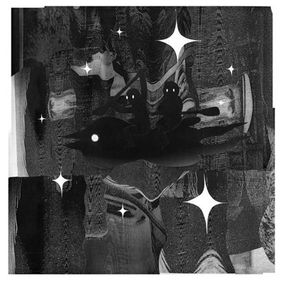 Y Niwl download mp3 flac