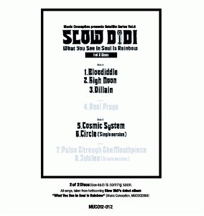 Slow Didi - What You See In Soul Is Rainbow (1 Of 2 Disks) download mp3 flac