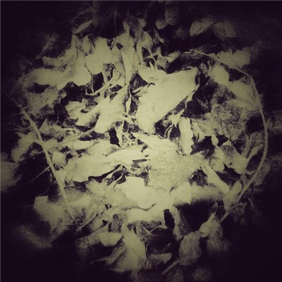 Sleep Column - Cut Our Love And Her Body download mp3 flac