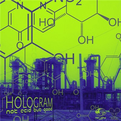 Hologram - Not Acid But Good download mp3 flac