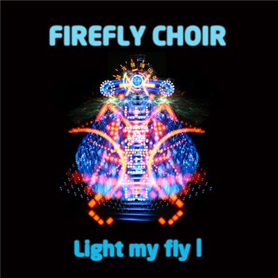The Firefly Choir - Light my fly! download mp3 flac