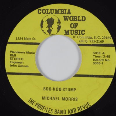 The Profiles Band and Revue - Boo-Koo Stump download mp3 flac