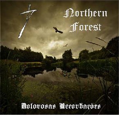 Northern Forest, Painless Death - Dolorosas Recordações download mp3 flac