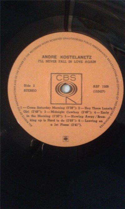 Andre Kostelanetz - I'll Never Fall In Love Again download mp3 flac