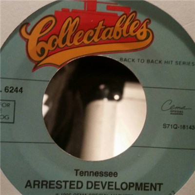 Arrested Development - Tennessee / People Everyday download mp3 flac