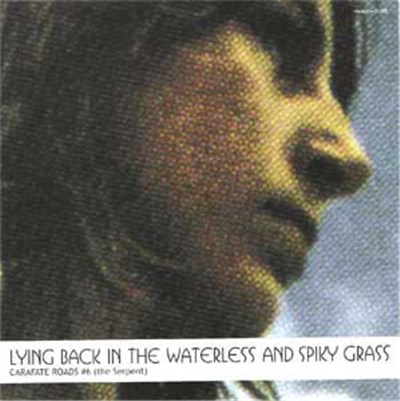 Various - Lying Back In The Waterless And Spiky Grass (Carafate Roads #6 - The Serpent) download mp3 flac