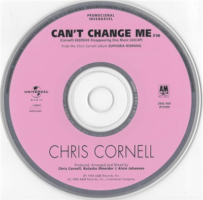 Chris Cornell - Can't Change Me download mp3 flac