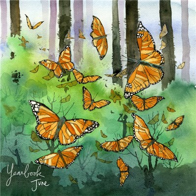 Sleeping At Last - Yearbook - June download mp3 flac