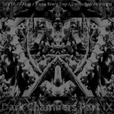SRVTR / CAND / Hope Every Day / Deutsches Kulturgut - Dark Chambers Part IX download mp3 flac
