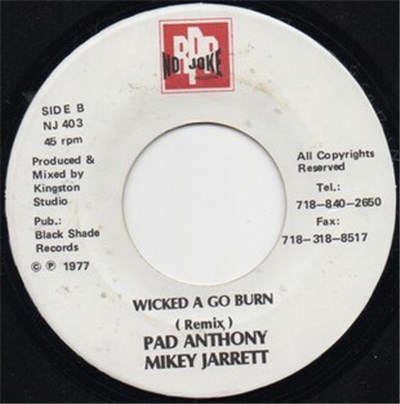 Pad Anthony, Mikey Jarrett - Wicked A Go Burn download mp3 flac