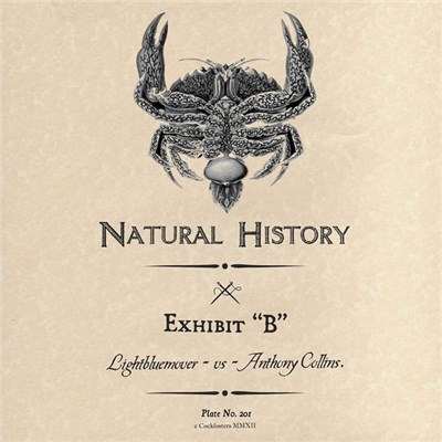 Lightbluemover Vs Anthony Collins - Exhibit "B" download mp3 flac