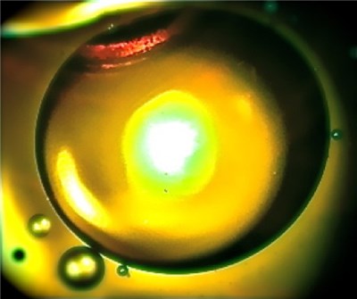 Hypermagic - Of Marsh And Mallow download mp3 flac