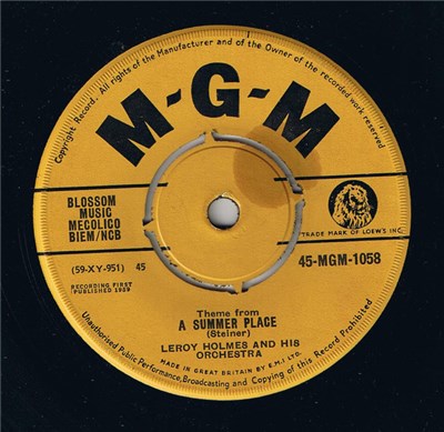 LeRoy Holmes Orchestra - A Summer Place download mp3 flac