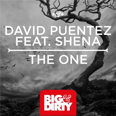 David Puentez Feat. Shena - The One download mp3 flac