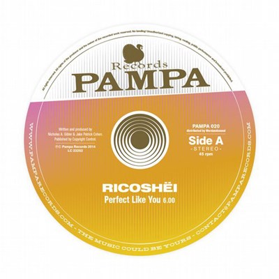 Ricoshëi, Dave DK - Perfect Like You / Woolloomooloo download mp3 flac